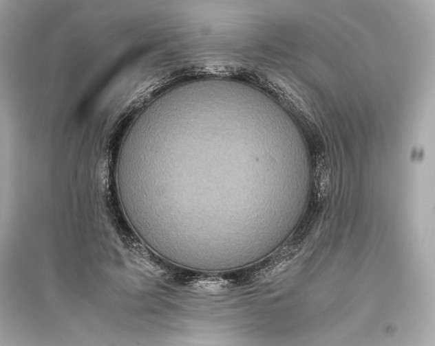 X0000094820595200711301631