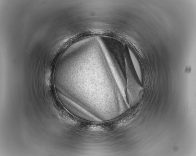 X0000094820596200711301631