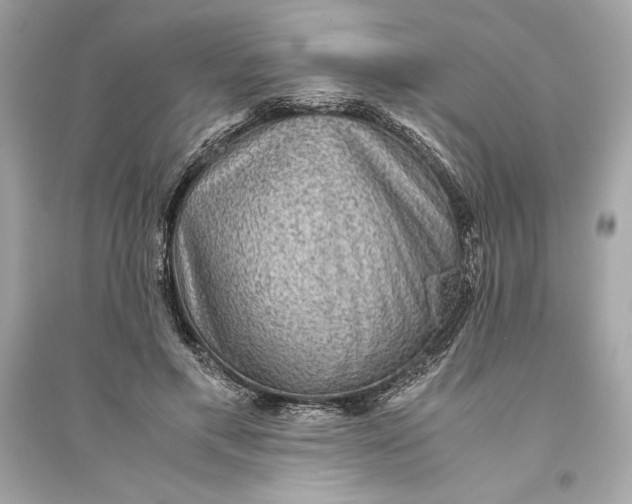 X0000094820597200711301631