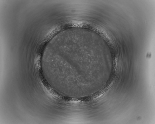 X0000094820598200711301631