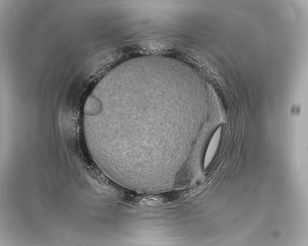 X0000094820599200711301631