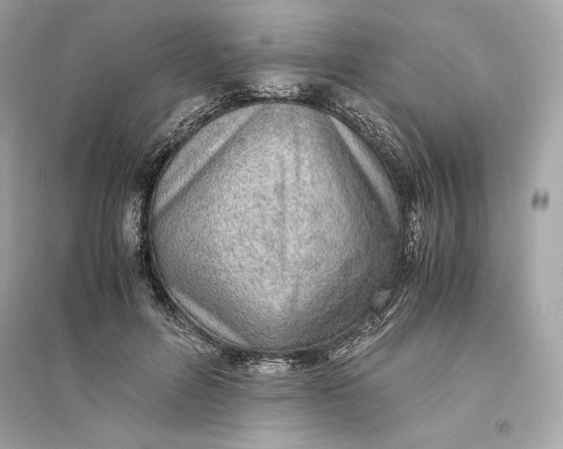 X0000094820600200711301631