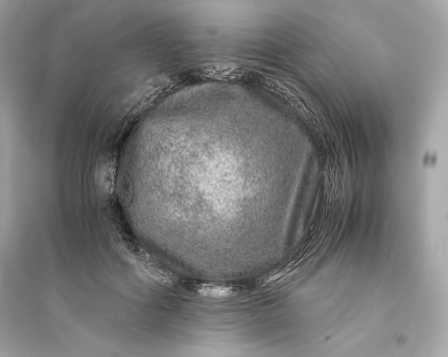 X0000094820602200711301631