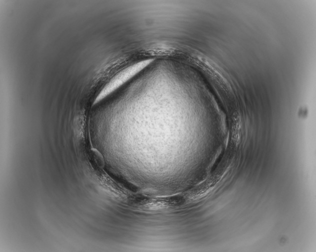 X0000094820604200711301631