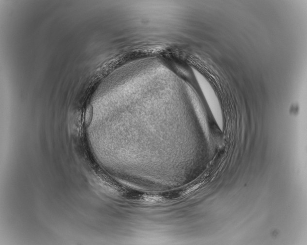 X0000094820605200711301631