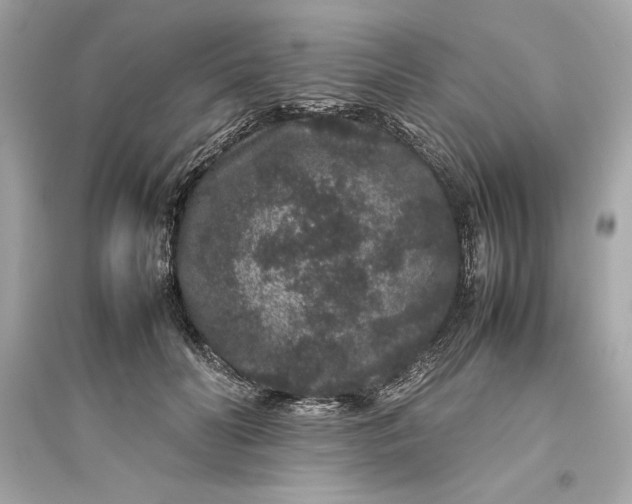 X0000094820606200711301631