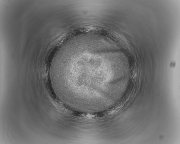 X0000094820607200711301631