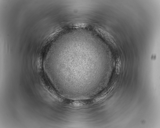 X0000094820608200711301631