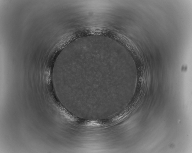 X0000094820610200711301631