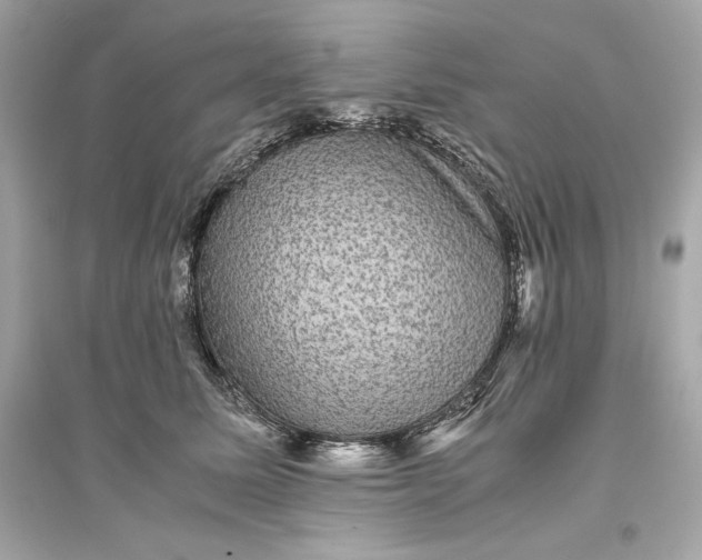 X0000094820611200711301631