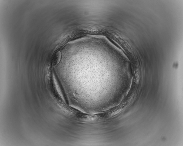 X0000094820612200711301631