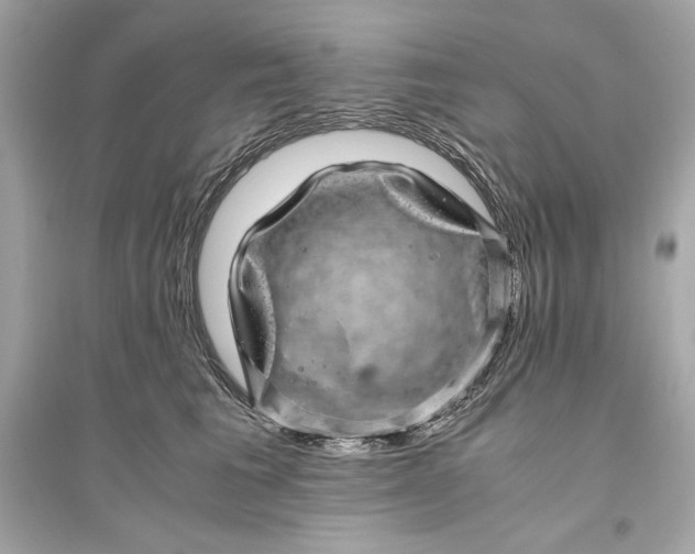 X0000094820613200711301631