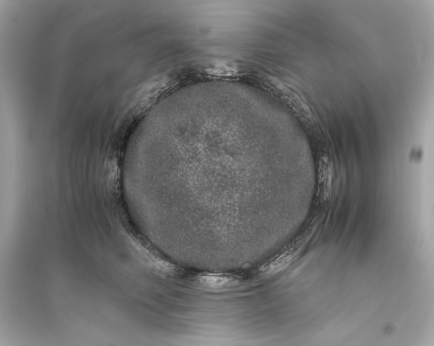 X0000094820614200711301631