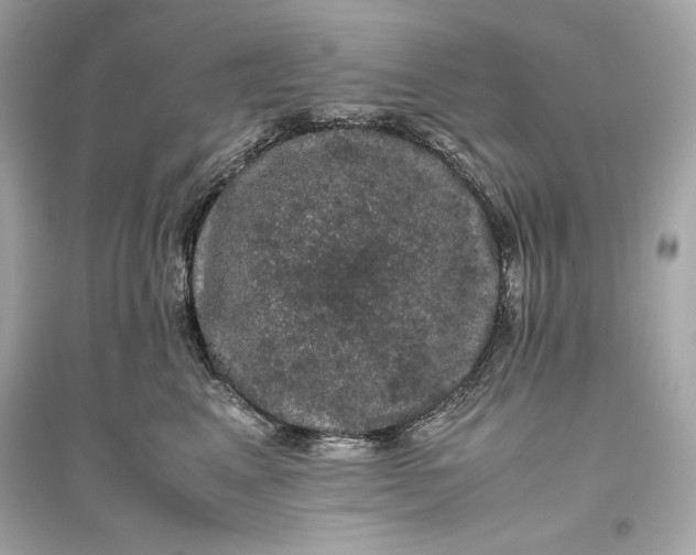 X0000094820617200711301631