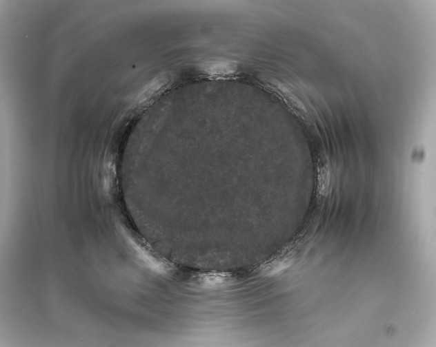 X0000094820618200711301631