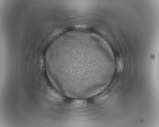 X0000094820619200711301631