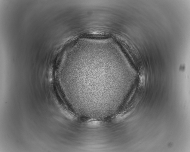 X0000094820620200711301631