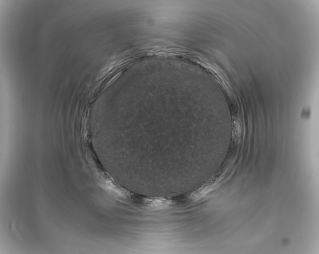 X0000094820621200711301631