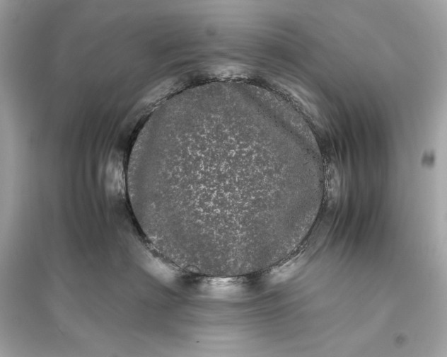 X0000094820622200711301631