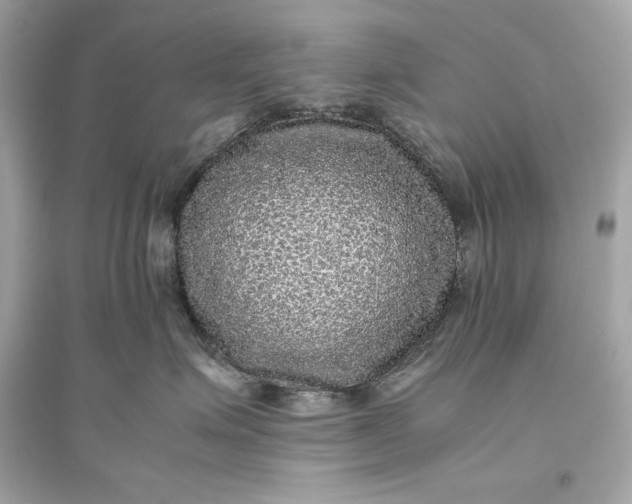 X0000094820623200711301631