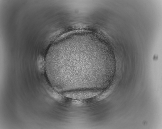 X0000094820624200711301631