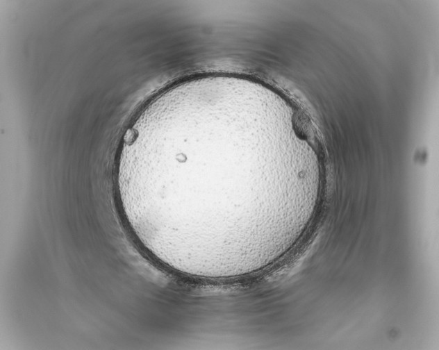 X0000094820625200711301630