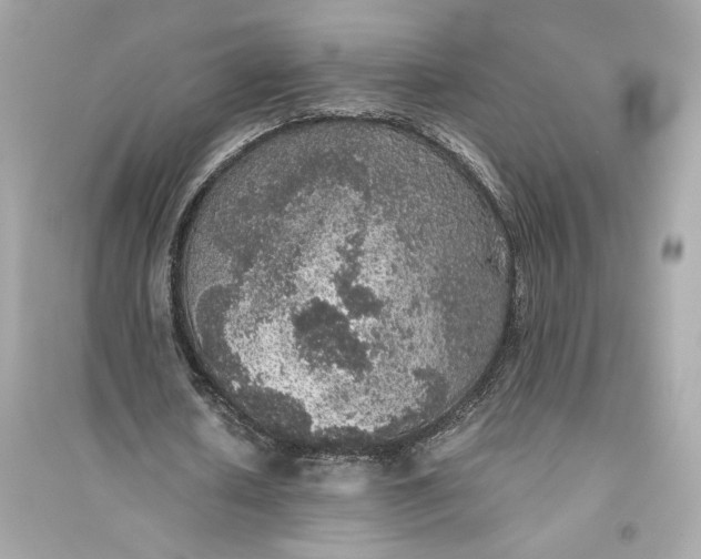 X0000094820626200711301630