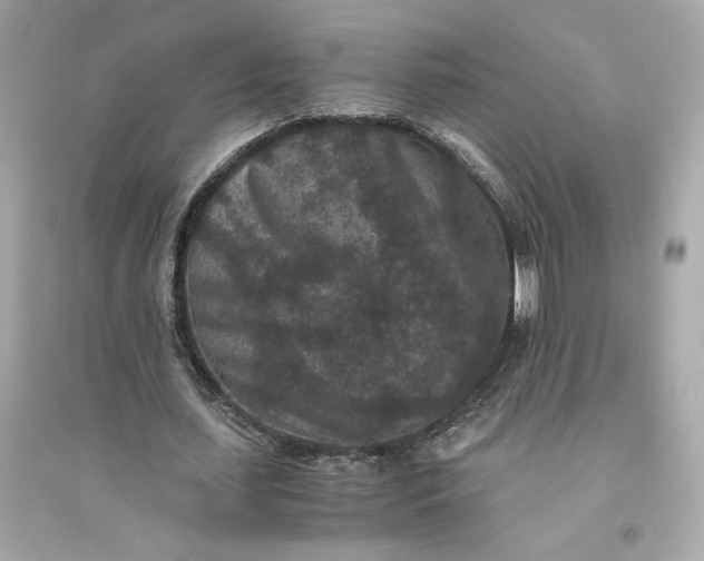 X0000094820627200711301630