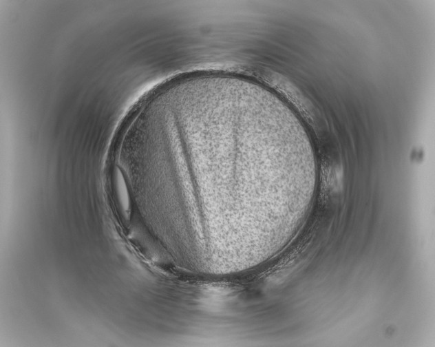 X0000094820628200711301630