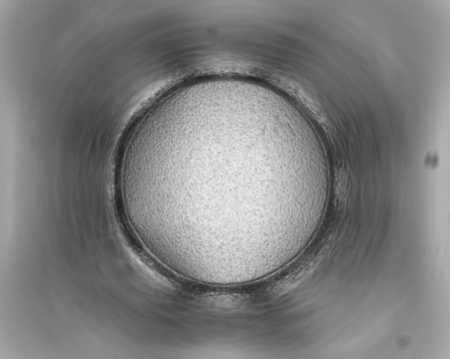 X0000094820629200711301630