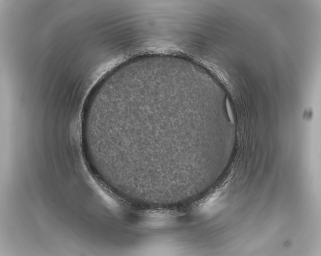 X0000094820630200711301630