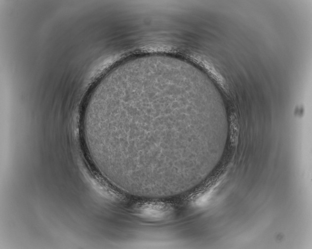 X0000094820631200711301630