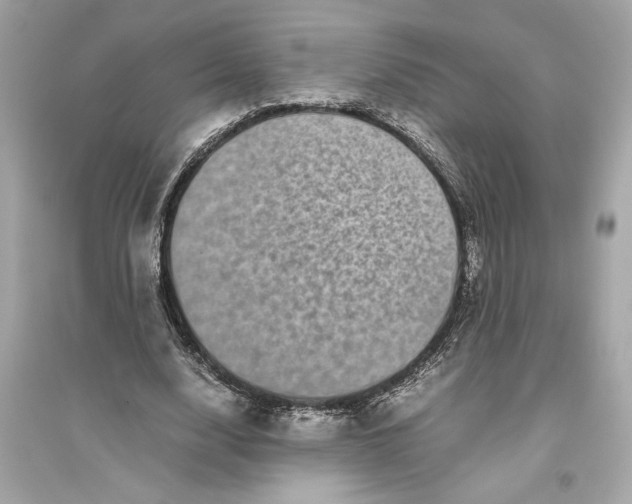 X0000094820632200711301630