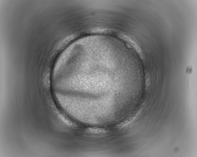 X0000094820633200711301630