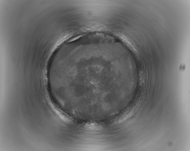 X0000094820634200711301630