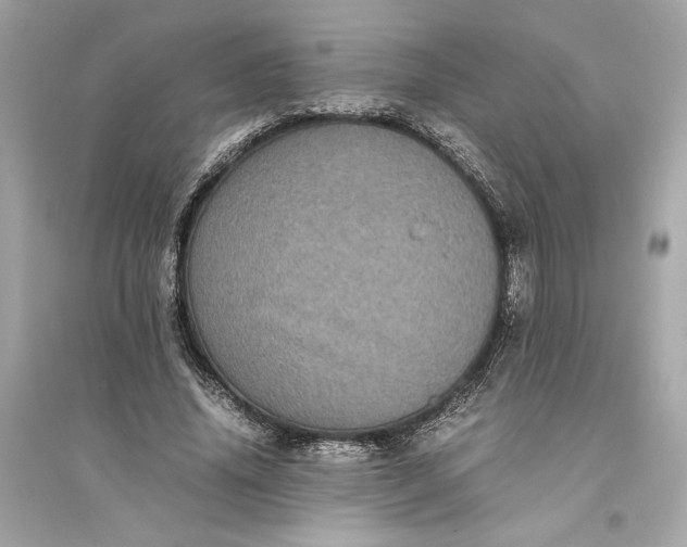 X0000094820636200711301630