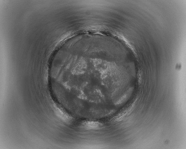 X0000094820637200711301630