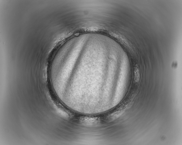 X0000094820638200711301630