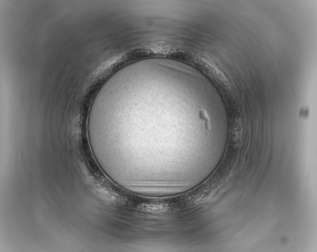 X0000094820639200711301630