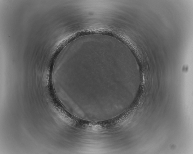 X0000094820640200711301630