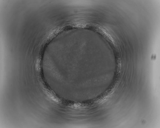 X0000094820641200711301630