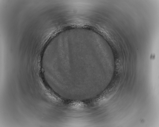 X0000094820642200711301630