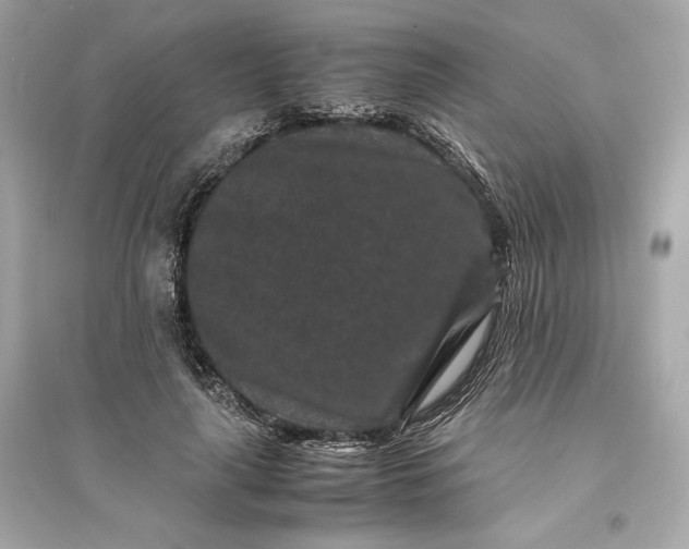 X0000094820643200711301630