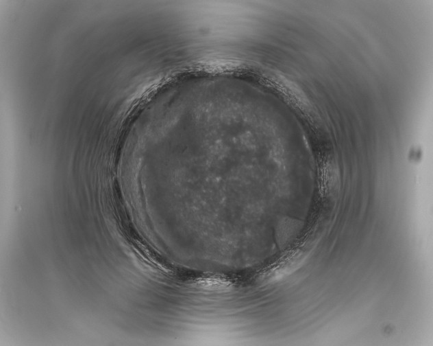 X0000094820644200711301630