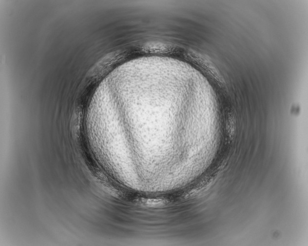 X0000094820645200711301630