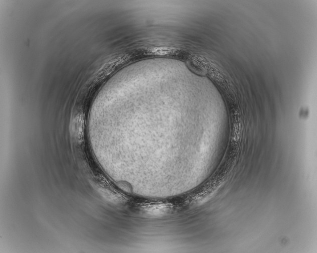 X0000094820646200711301630