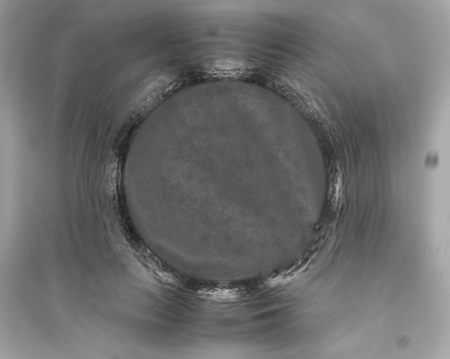 X0000094820647200711301630