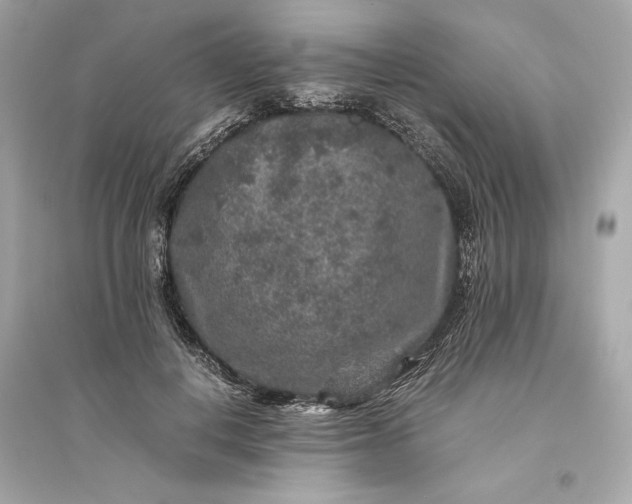 X0000094820648200711301630