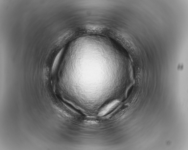 X0000094820649200711301630