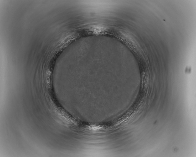 X0000094820650200711301630